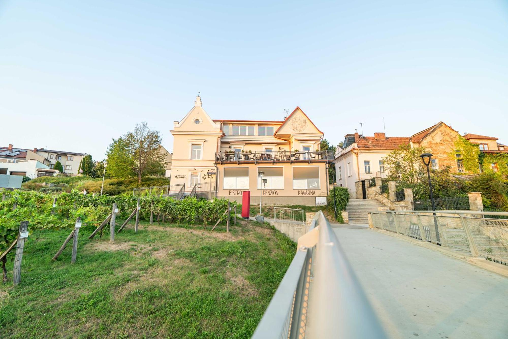 Penzion Nad Lavkou Uhersky Brod Exterior photo