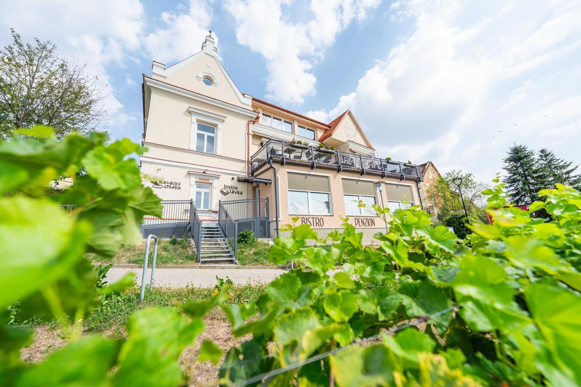 Penzion Nad Lavkou Uhersky Brod Exterior photo
